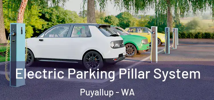 Electric Parking Pillar System Puyallup - WA