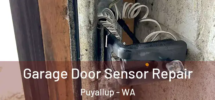 Garage Door Sensor Repair Puyallup - WA
