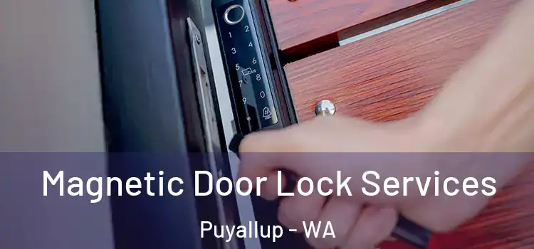 Magnetic Door Lock Services Puyallup - WA