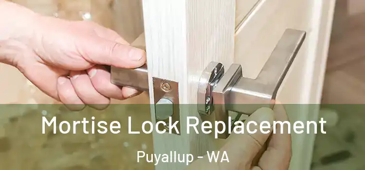 Mortise Lock Replacement Puyallup - WA