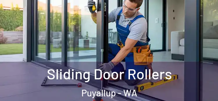 Sliding Door Rollers Puyallup - WA