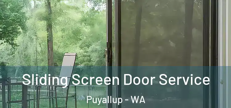 Sliding Screen Door Service Puyallup - WA